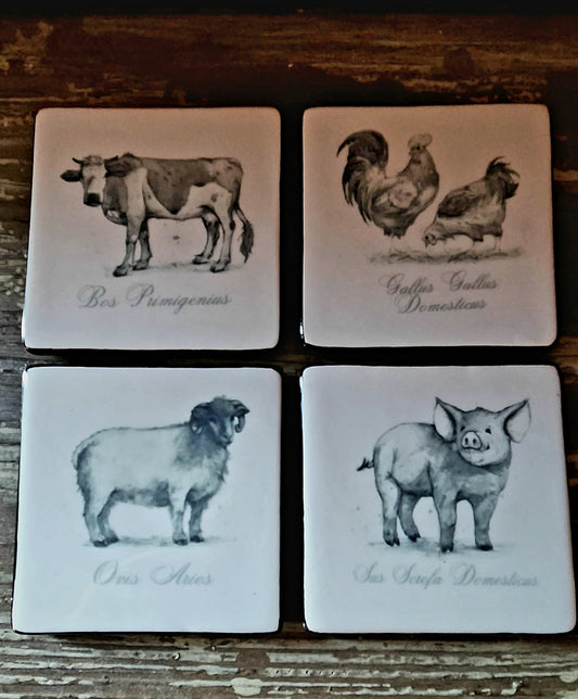 Animal French Farm Coasters