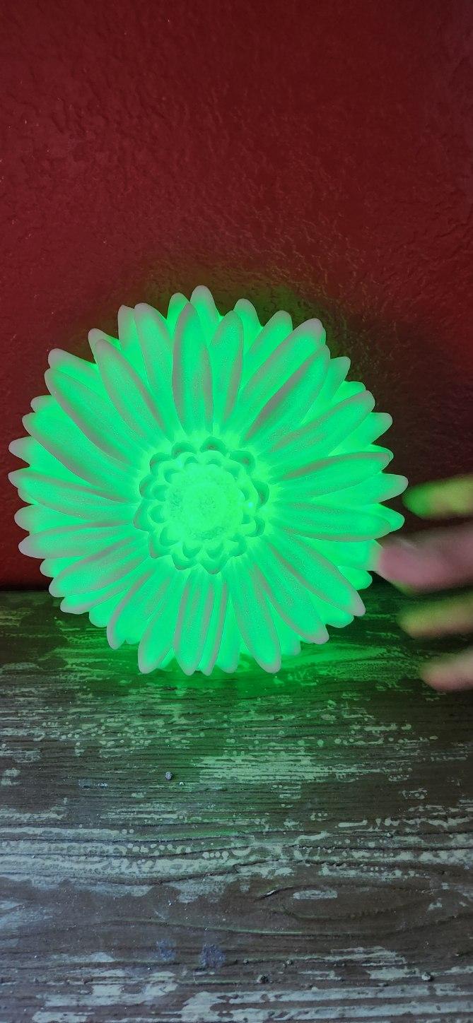 Light- up flower wall decor