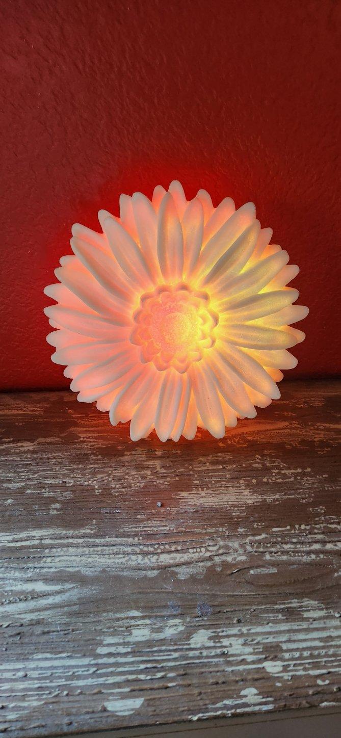 Light- up flower wall decor