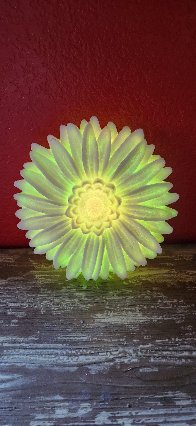 Light- up flower wall decor