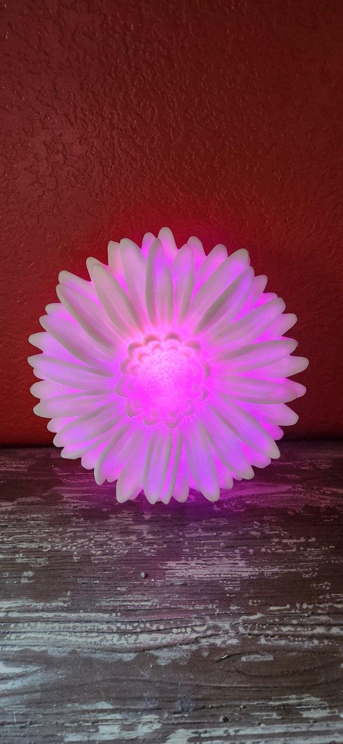 Light- up flower wall decor