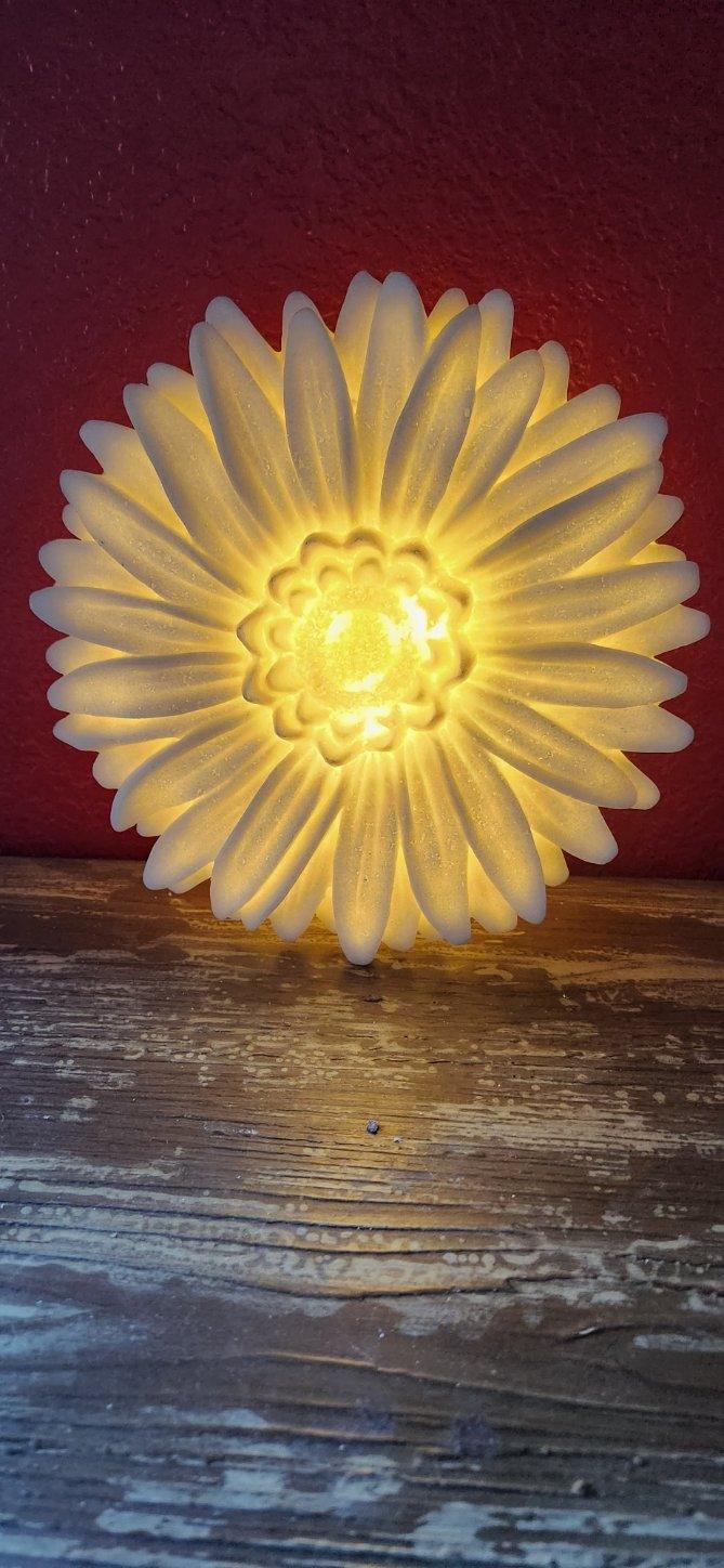 Light- up flower wall decor