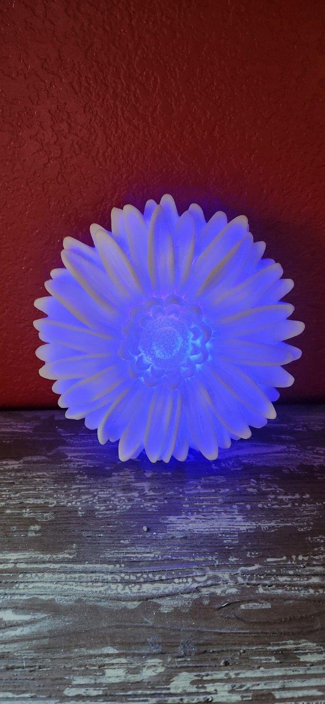 Light- up flower wall decor